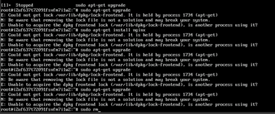 Could not get lock /var/lib/dpkg/lock-frontend的解决方法